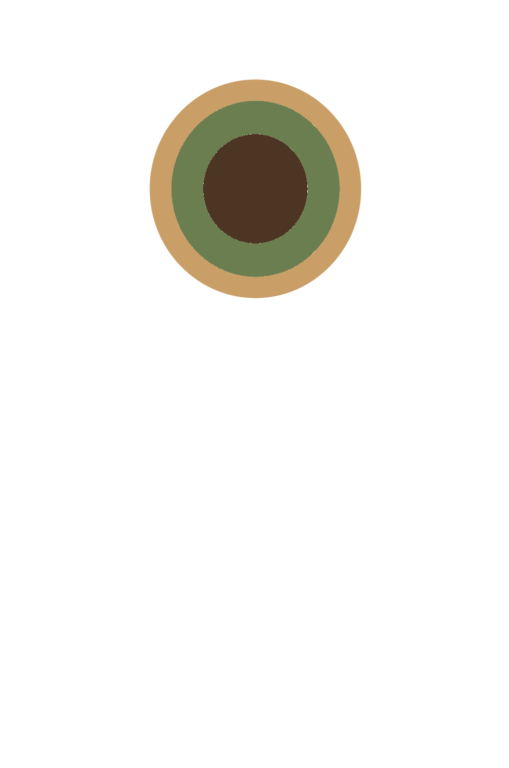 caponi_trasparent(1)