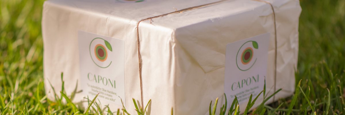 olive ascolane artigianali-olive ascolane fatte a mano-compra online olive ascolane-olive all’ascolana artigianali olive ascolane artigianali-olive ascolane fatte a mano-compra online olive ascolane-olive all'ascolana artigianali